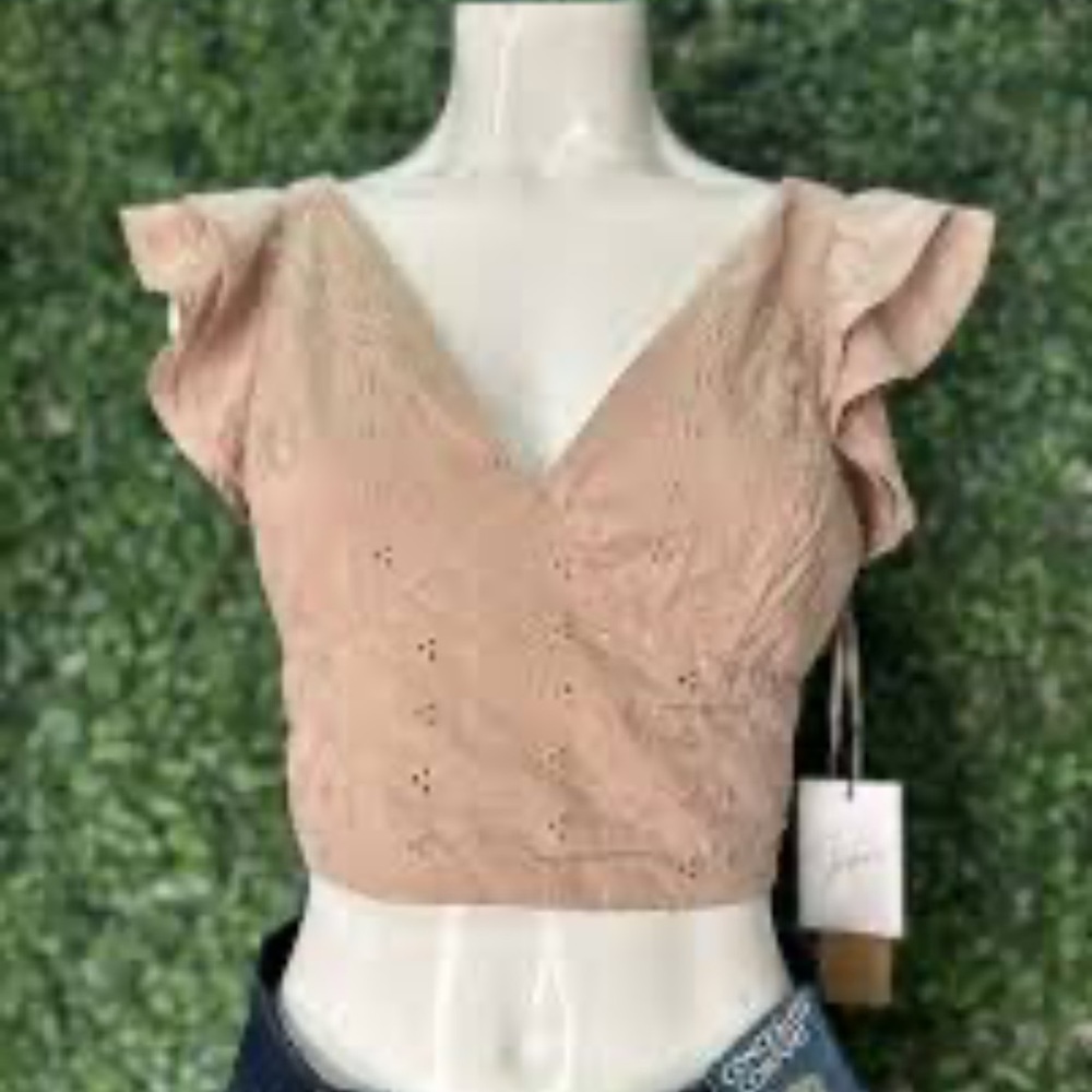 Francesca's Collections Blush Ruffle Sleeve Crop Top